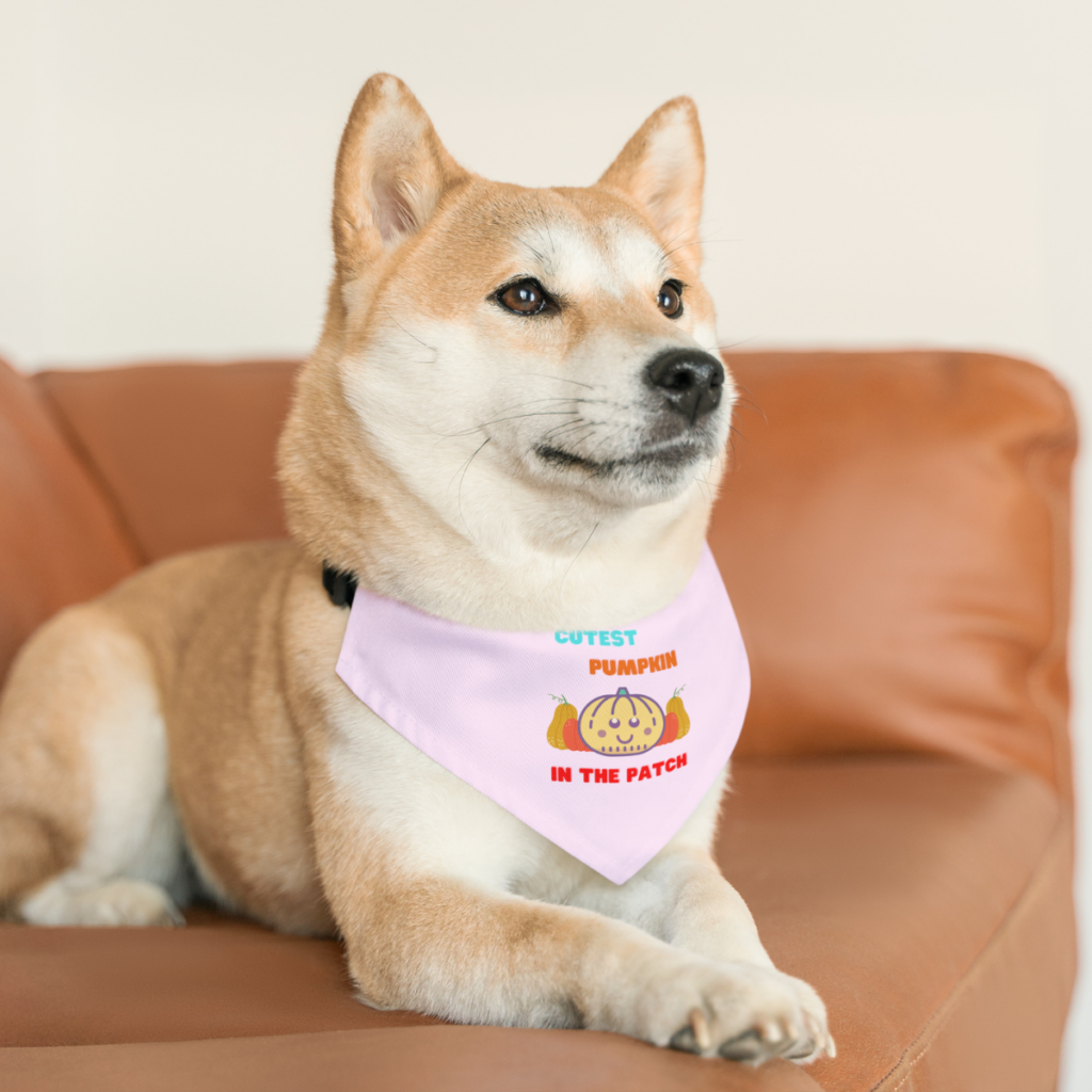 Cutest Pumpkin Pet Bandana Collar on dog model featuring pastel pumpkin Halloween design