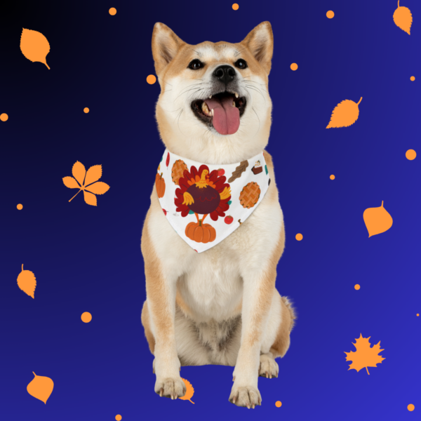 mockup of a dog wearing Thanksgiving Fun Pet Bandana Collar