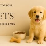 Pets category banner featuring a golden retriever puppy sitting beside a food bowl and a bone toy on a neutral background, designed for One Stop Soul
